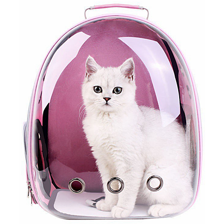 Pourquoi être prudent avec le sac bulle pour chat