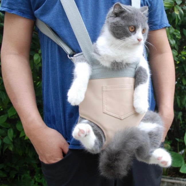 Sac ventral pour chat : est-ce fait pour vous ?