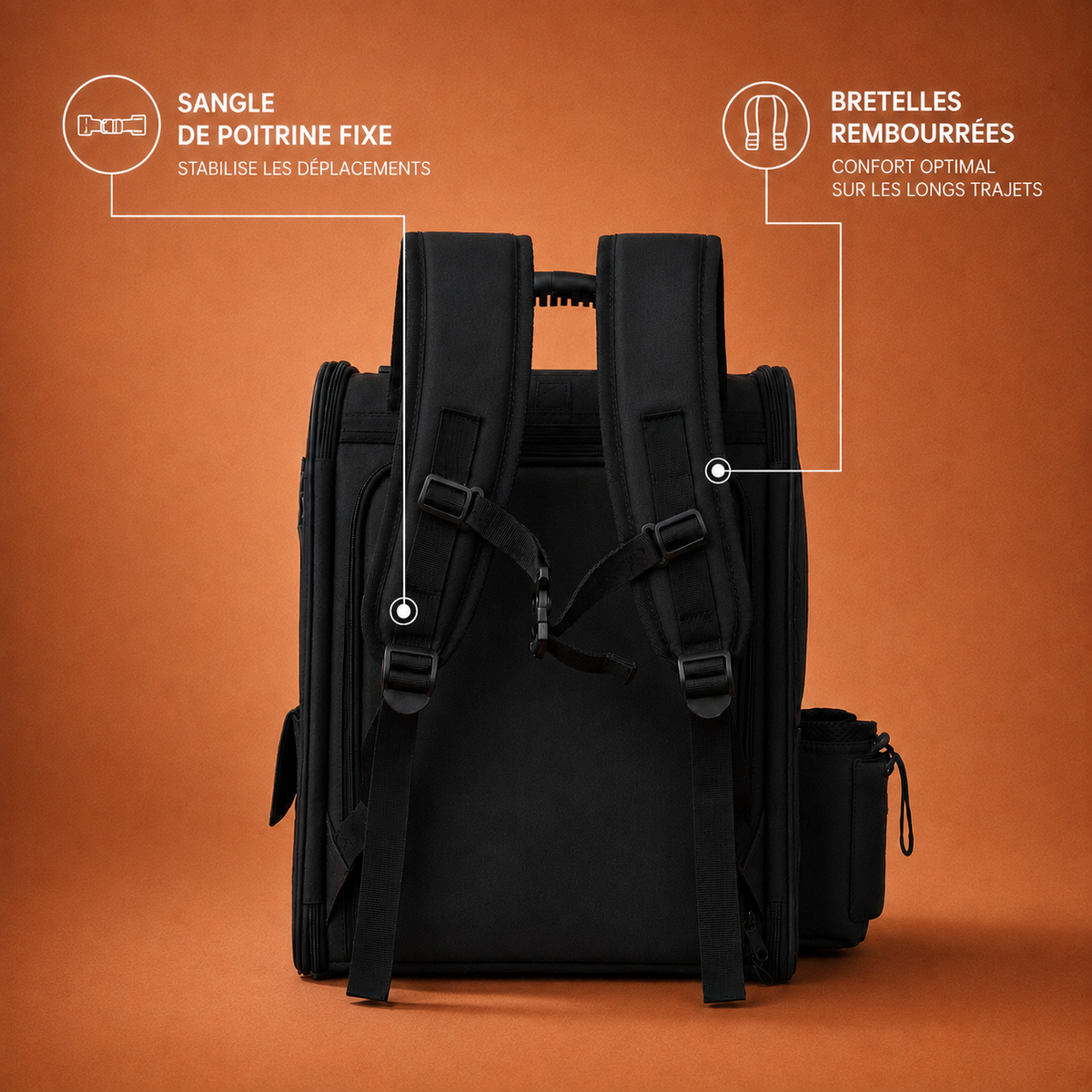 Sac à dos de transport pour chat noir, vue de dos.