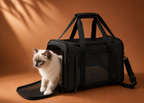Chat installé dans un sac de transport noir avec grande ouverture en mesh.